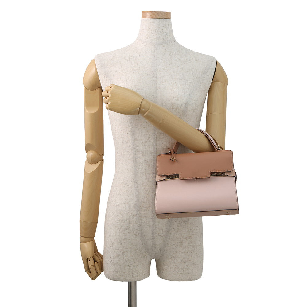 Delvaux Tempate Light Pink/Brown/Jasmin FlowerAA0435AAX0AIADP Leather Size Mini