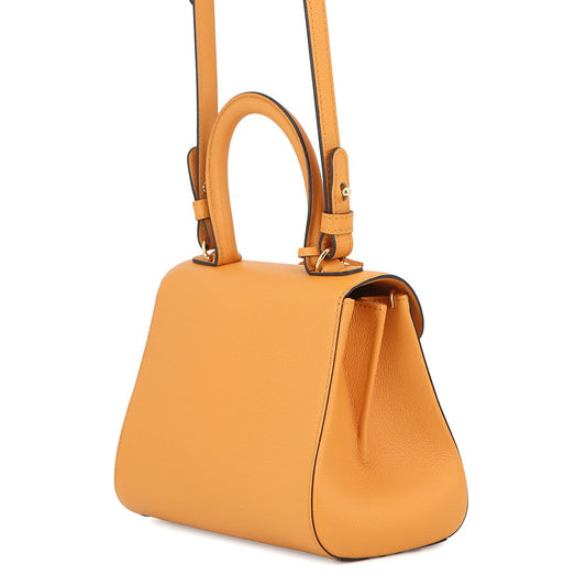 Delvaux Brillant 2WAY Handbag HoneyAA0406AAU0AZCDO Rodeo Calf Leather Size Mini