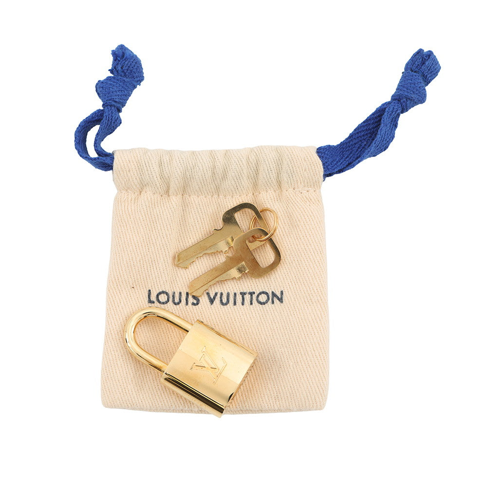 LOUIS VUITTON Iena BordeauxN41012 Damier Ebene Canvas Size PM