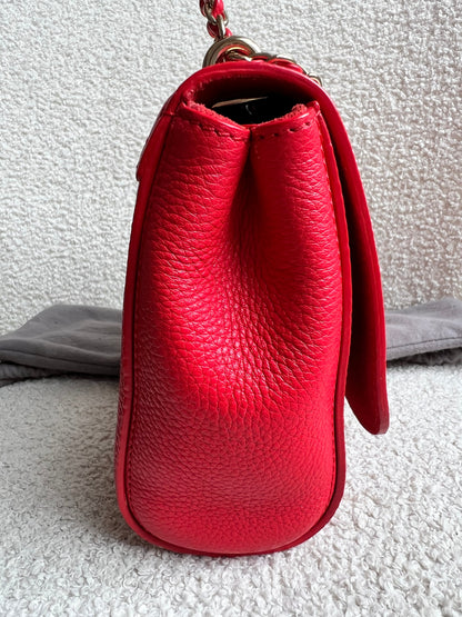 Mulberry Hibiscus Red Regular Lily with Gold Hardware (RRP £995)