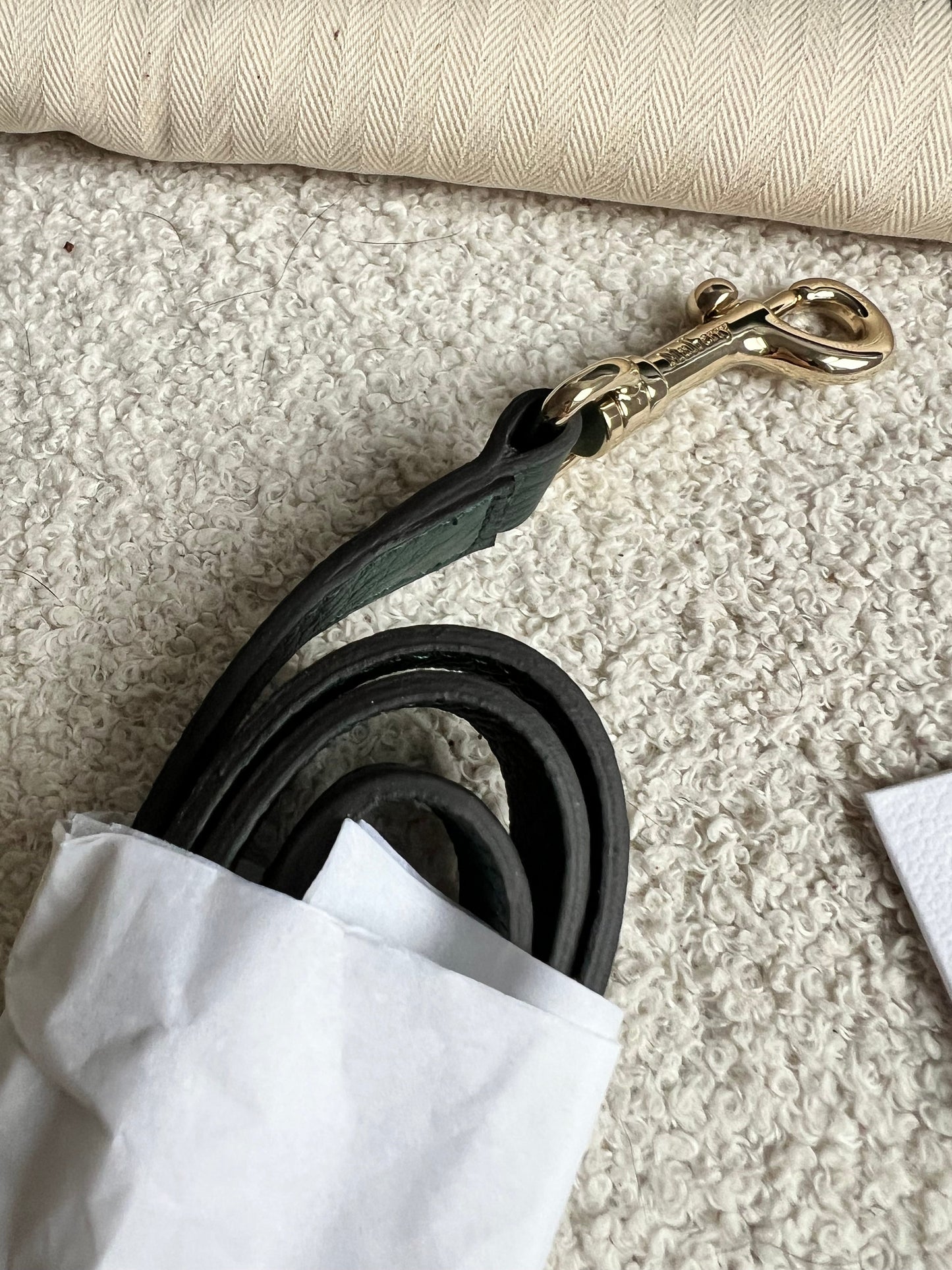 Mulberry Green Regular Alexa (RRP £1250)