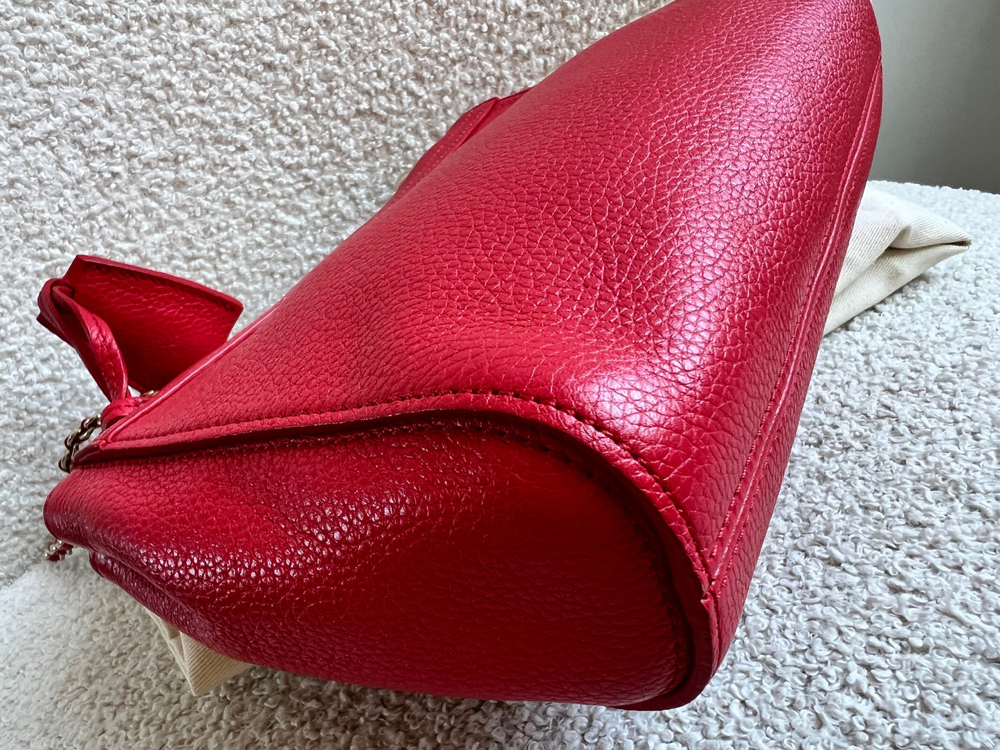 Mulberry Hibiscus Red Regular Lily with Gold Hardware (RRP £995)
