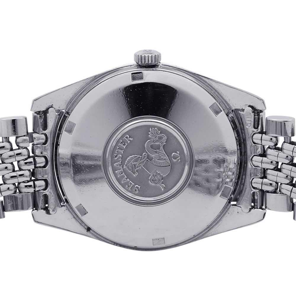 OMEGA Seamaster W35mm Stainless Steel Silver Dial166.010