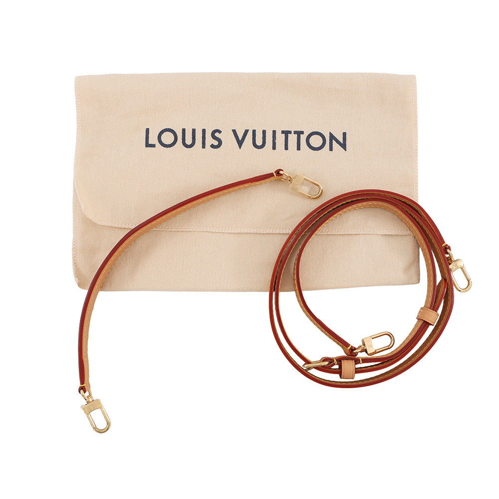LOUIS VUITTON Nano Diane BrownM83298 Monogram
