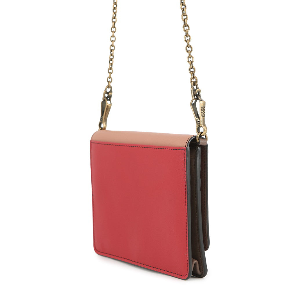 Bottega Veneta Chain wallet Pink/Red/Brown521308 Leather