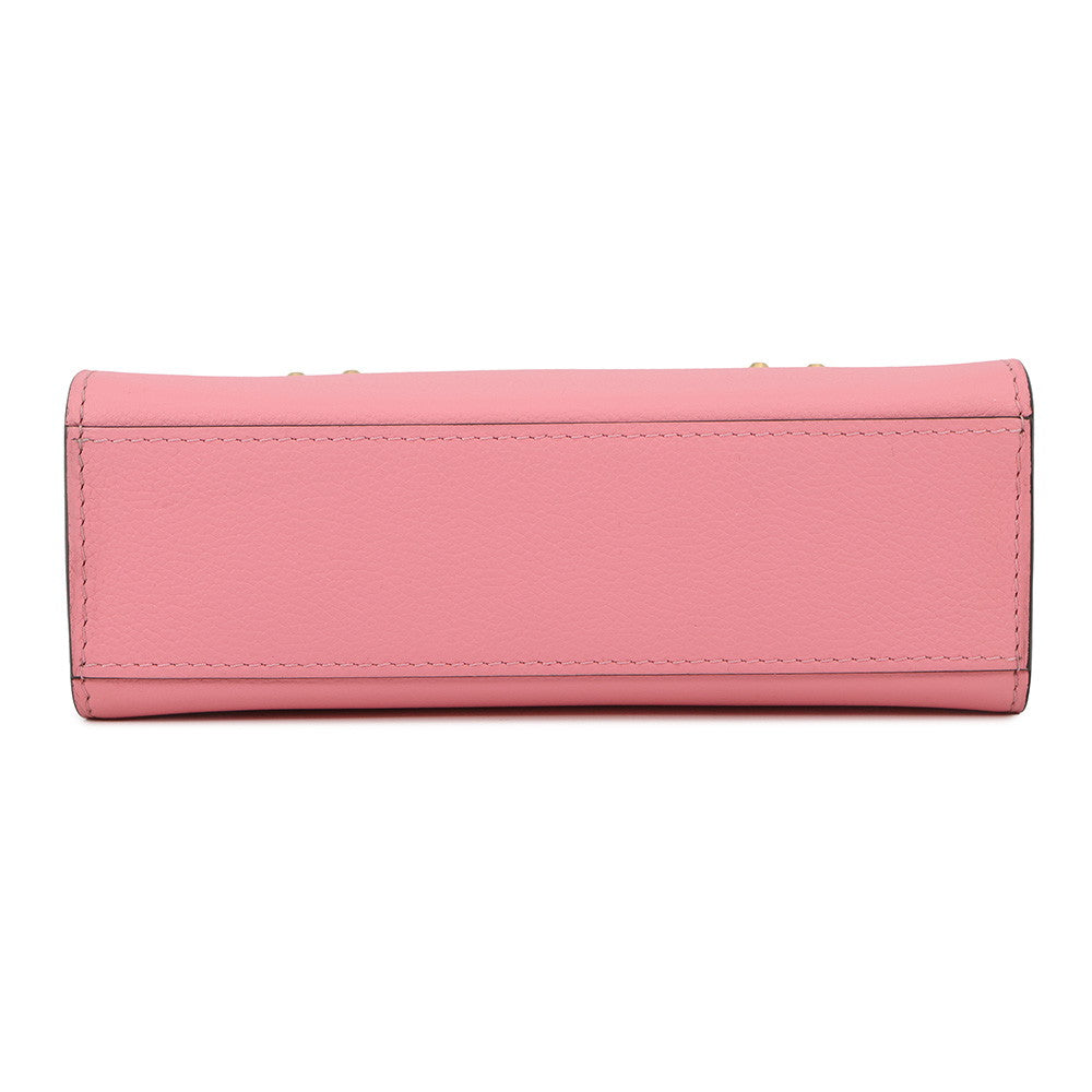 Delvaux Tempe Crash PinkAA0617AFL021XDO JumpingCalf Leather Size Mini