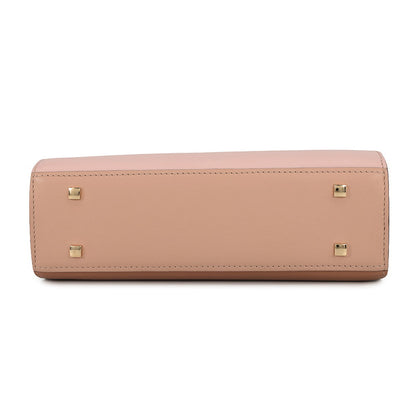 Delvaux Tempate Light Pink/Brown/Jasmin FlowerAA0435AAX0AIADP Leather Size Mini