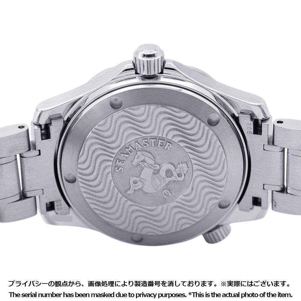 OMEGA Seamaster Professional W36mm Stainless Steel Black Dial2252.50
