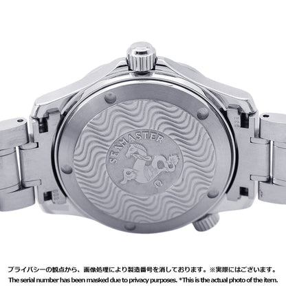 OMEGA Seamaster Professional W36mm Stainless Steel Black Dial2252.50