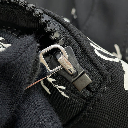 Dior Printed Backpack Black/White1PEBA064XXD03E Nylon