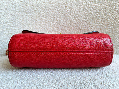 Mulberry Hibiscus Red Regular Lily with Gold Hardware (RRP £995)