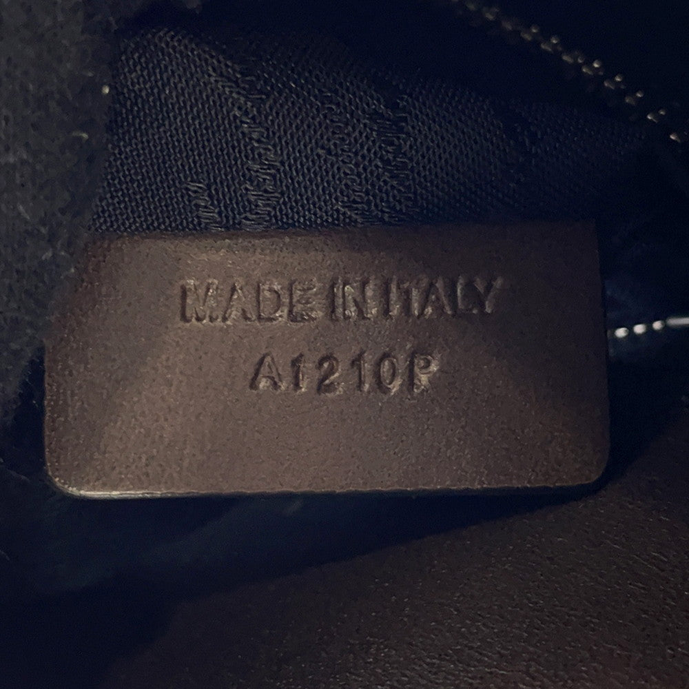 Berluti Calligraphy Tote Bag Brown scritto leather Size Mini
