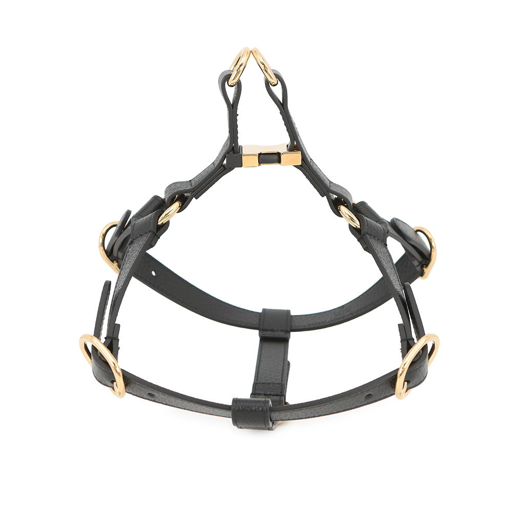 GUCCI Interlocking G Pet Harness Black692963 Leather Size M