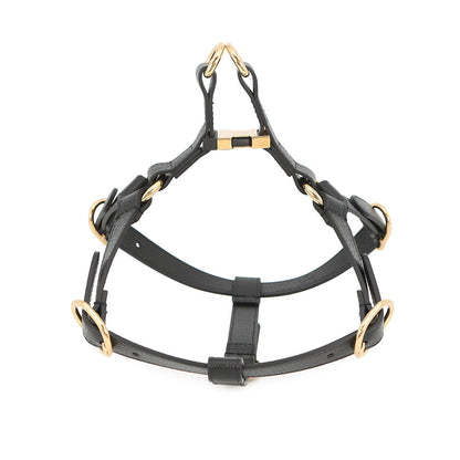 GUCCI Interlocking G Pet Harness Black692963 Leather Size M
