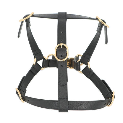 GUCCI Interlocking G Pet Harness Black692963 Leather Size M
