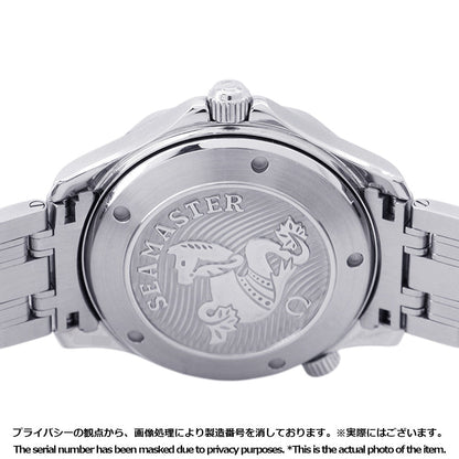 OMEGA Seamaster Diver300 Co-Axial W41mm Stainless Steel Blue Dial212.30.41.20.03.001
