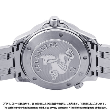 OMEGA Seamaster Diver 300M W41mm Stainless Steel Blue Dial212.30.41.20.03.001