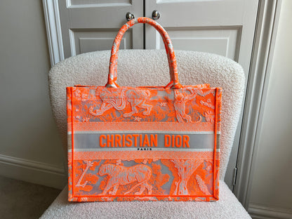 Christian Dior Toule de Jouey Medium Book Tote