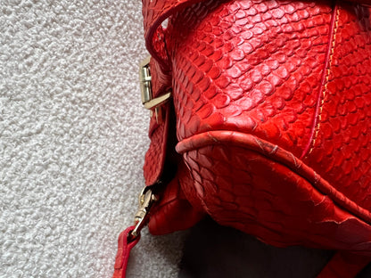 Mulberry Flame Red Silky Snake Print Regular Alexa (RRP £1100)