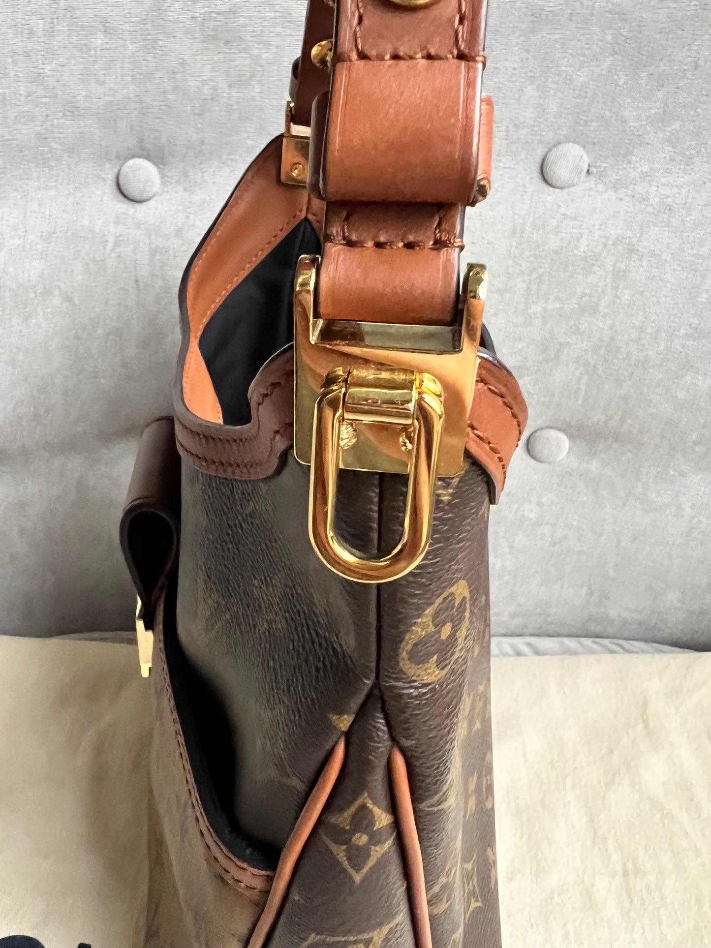 Louis Vuitton Dauphine Hobo PM (RRP £2190)