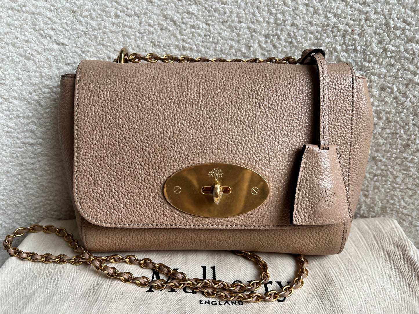 Mulberry Rosewater Regular Lily with Gold Hardware (RRP £995)