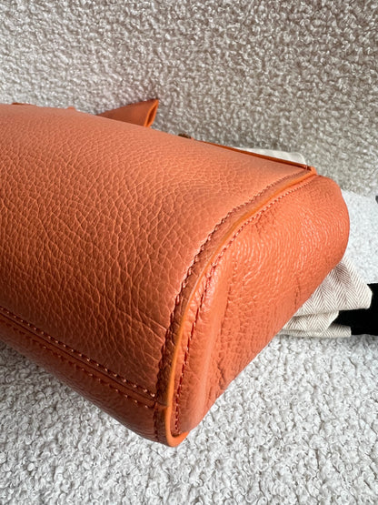 Mulberry Apricot Regular Lily with Gold Hardware (RRP £995)