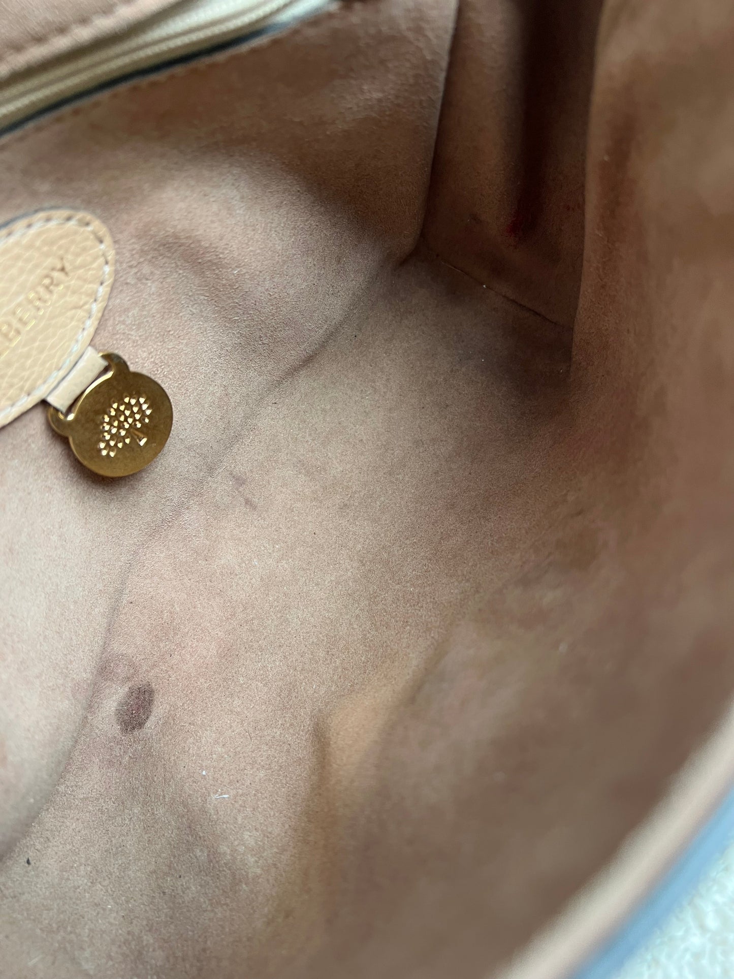 Mulberry Rosewater Regular Lily with Gold Hardware (RRP £995)