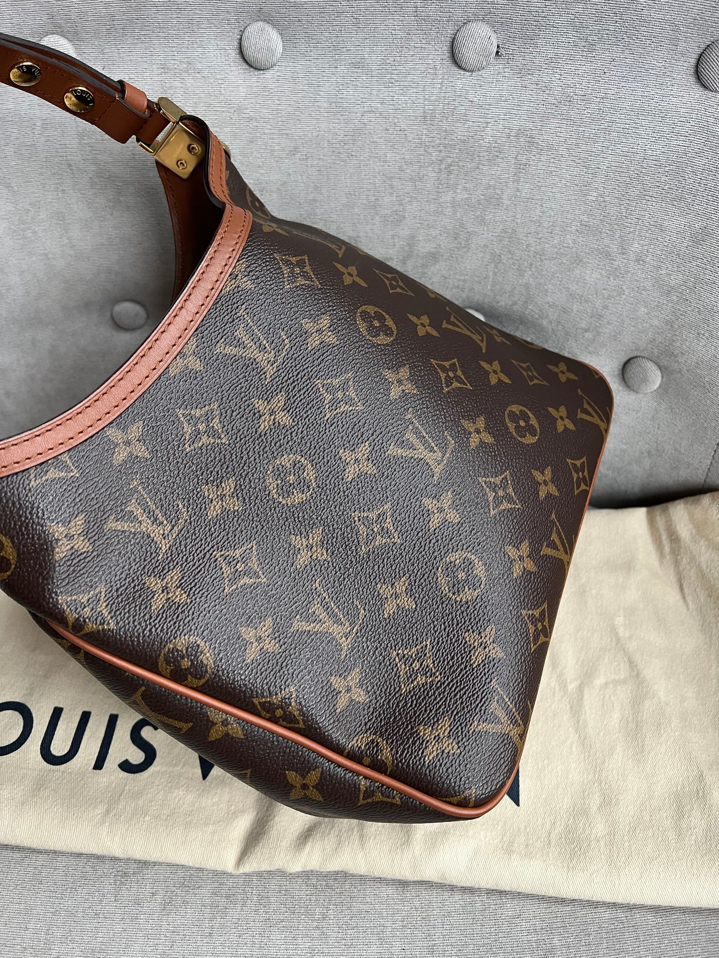 Louis Vuitton Dauphine Hobo PM (RRP £2190)