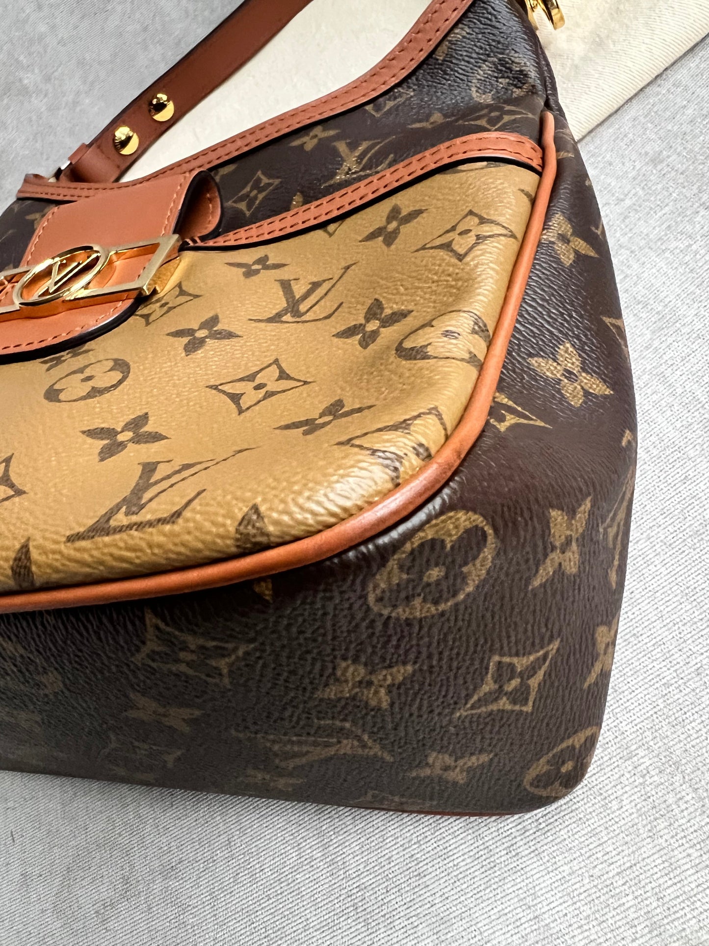 Louis Vuitton Dauphine Hobo PM (RRP £2190)