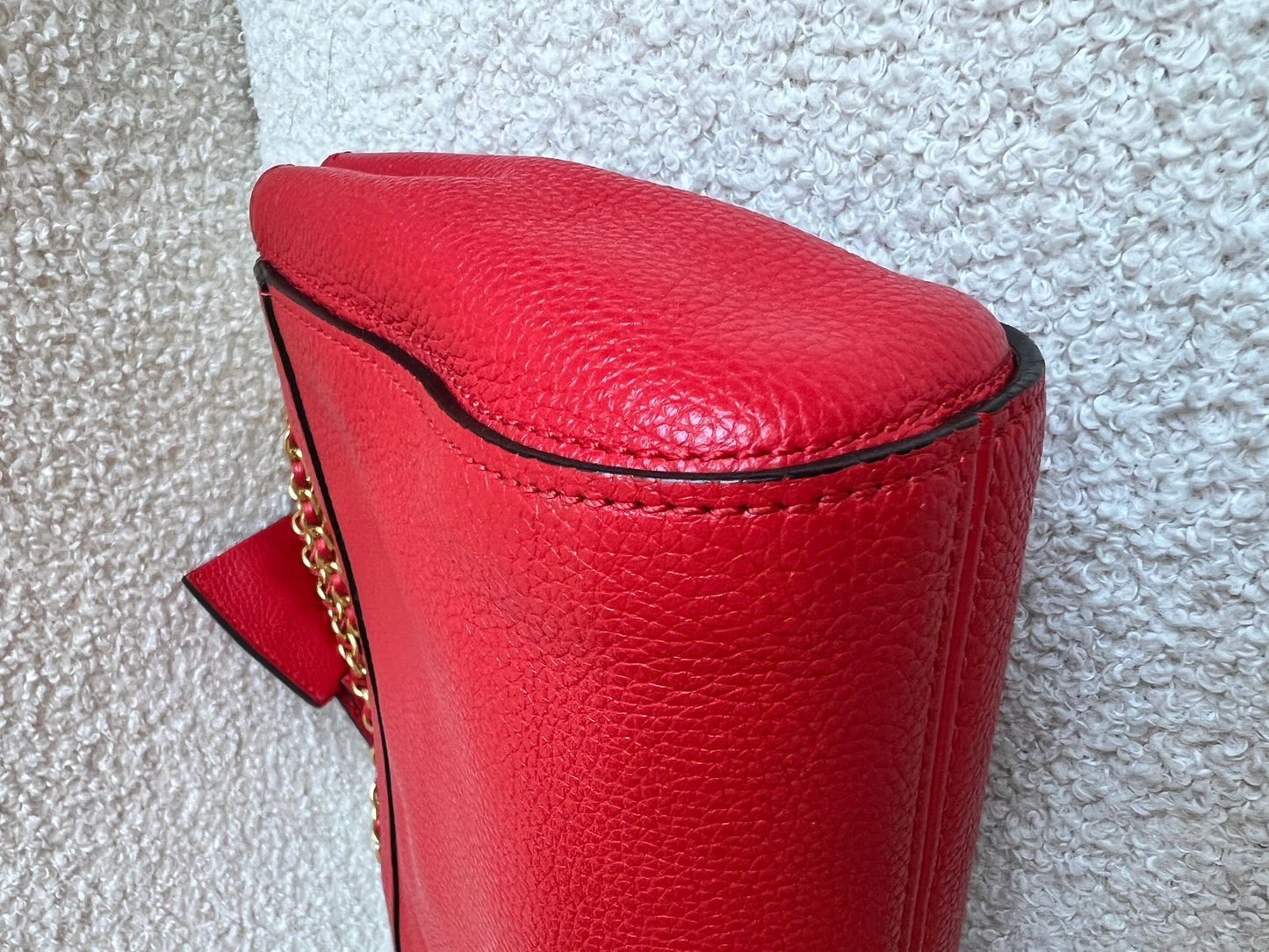 Mulberry Hibiscus Red Regular Lily with Gold Hardware (RRP £995)
