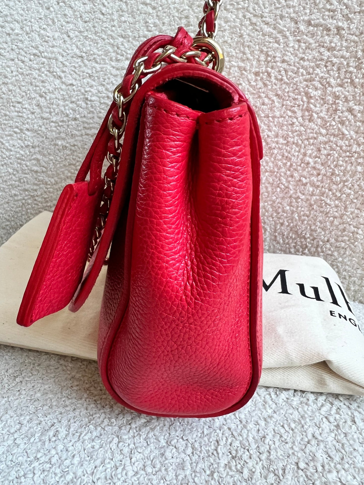 Mulberry Hibiscus Red Regular Lily with Gold Hardware (RRP £995)