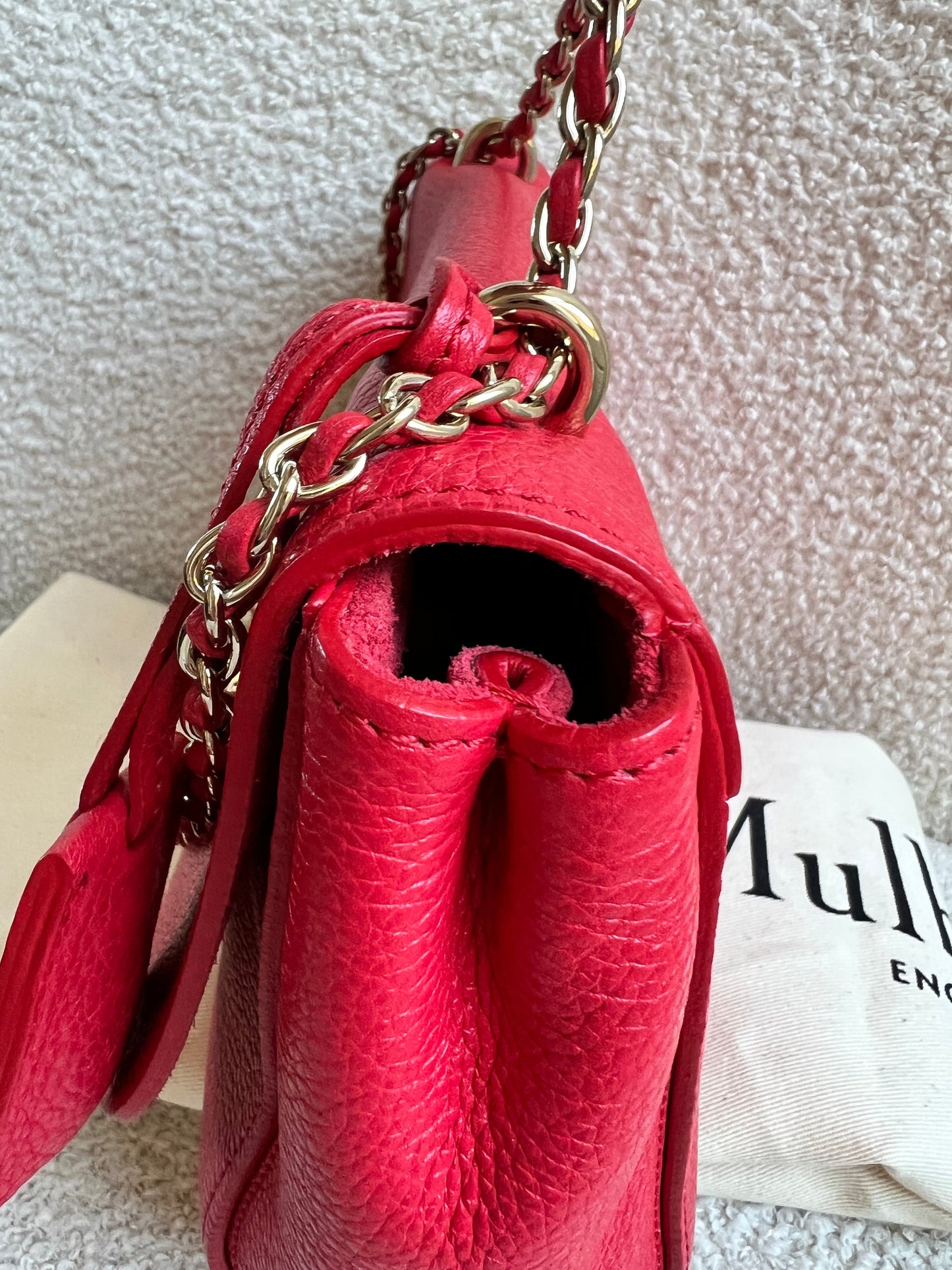 Mulberry Hibiscus Red Regular Lily with Gold Hardware (RRP £995)