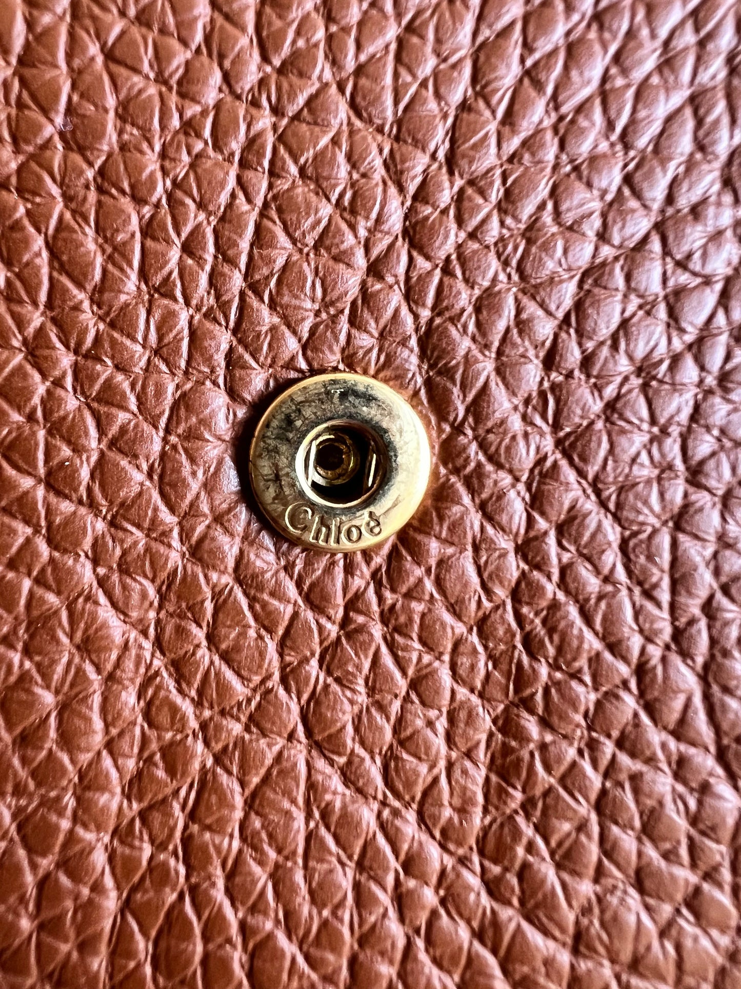Chloe Tan Small Marcie Wallet
