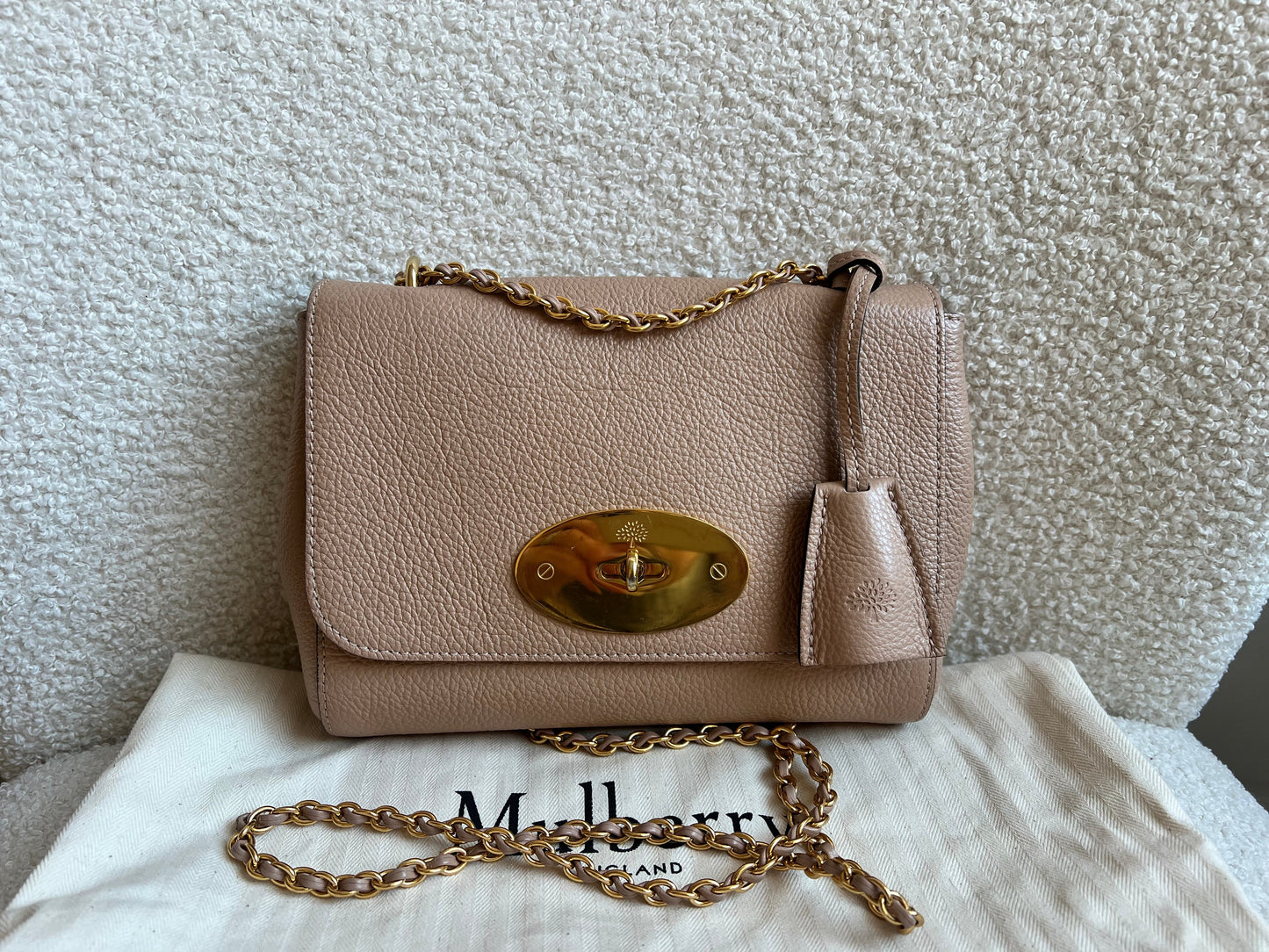 Mulberry Rosewater Regular Lily with Gold Hardware (RRP £995)