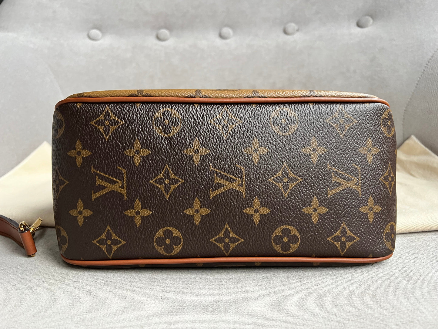 Louis Vuitton Dauphine Hobo PM (RRP £2190)