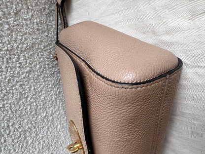 Mulberry Rosewater Regular Lily with Gold Hardware (RRP £995)