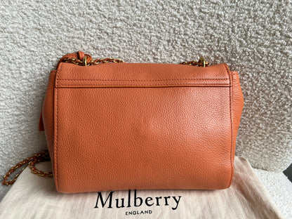 Mulberry Apricot Regular Lily with Gold Hardware (RRP £995)