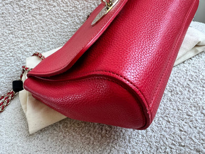 Mulberry Hibiscus Red Regular Lily with Gold Hardware (RRP £995)