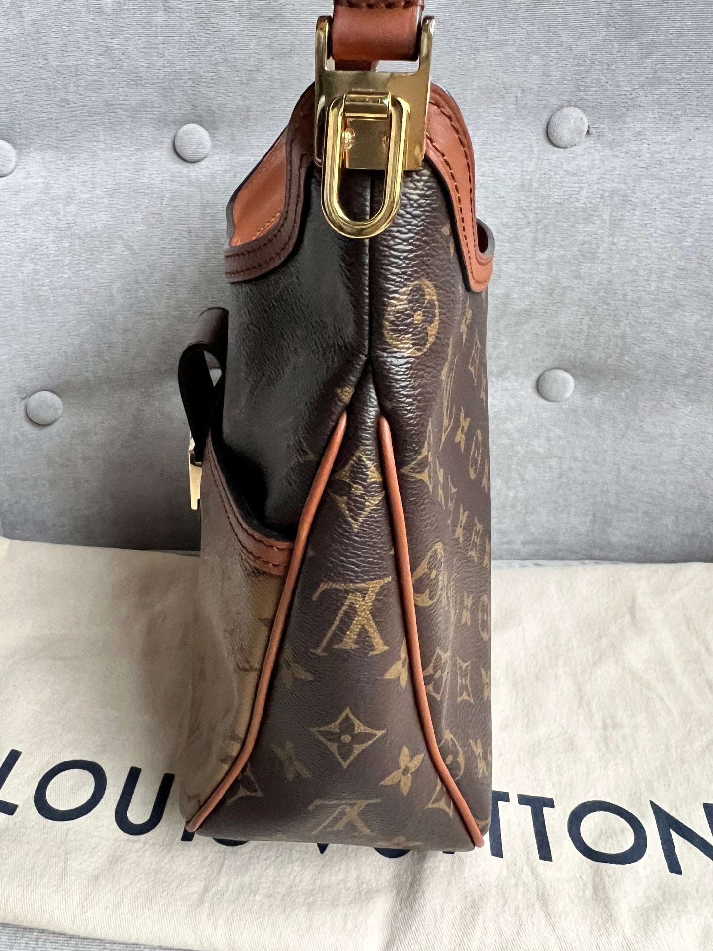 Louis Vuitton Dauphine Hobo PM (RRP £2190)
