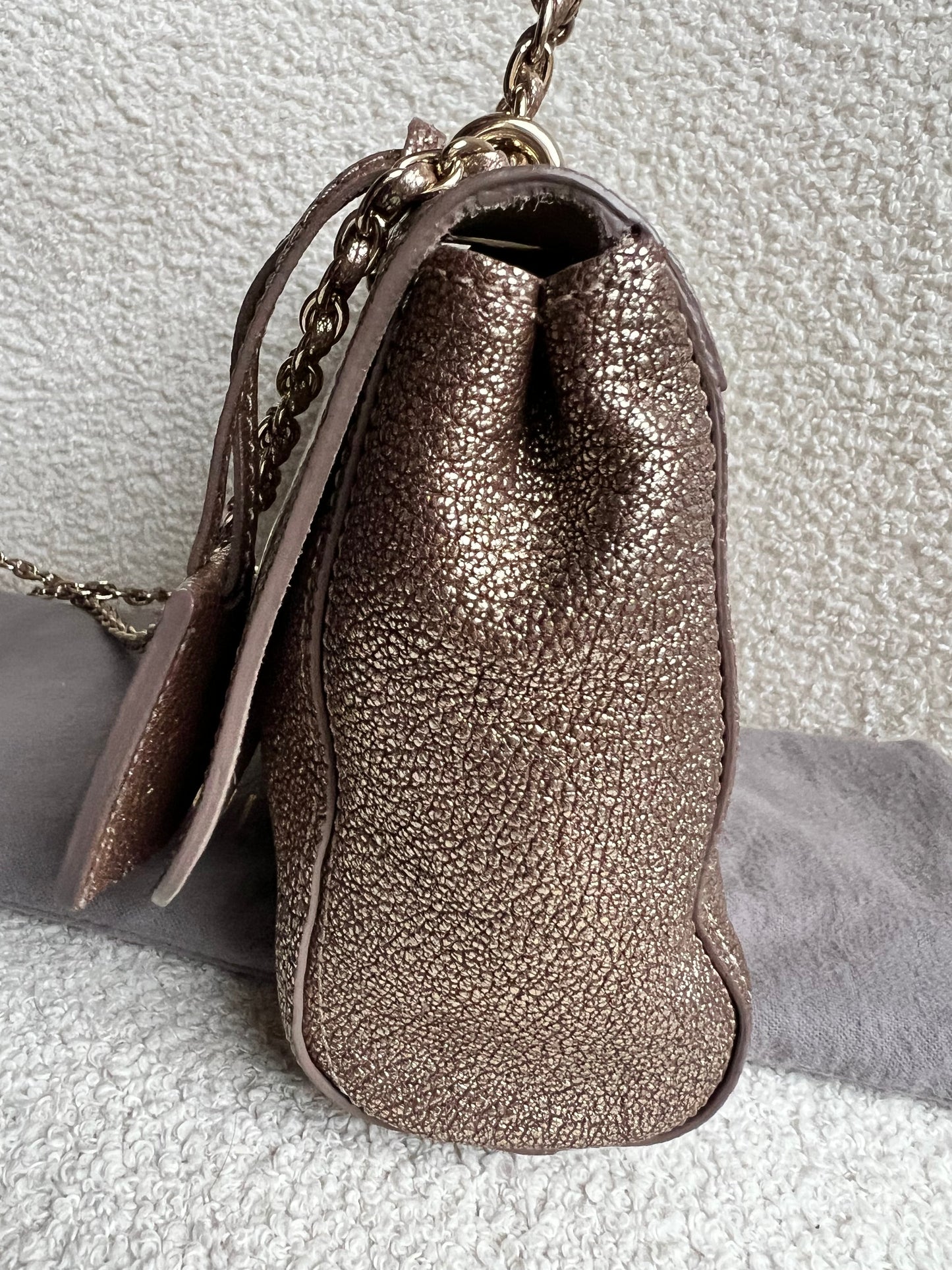 Mulberry Metallic Mushroom Regular Lily with Gold Hardware (RRP £995)