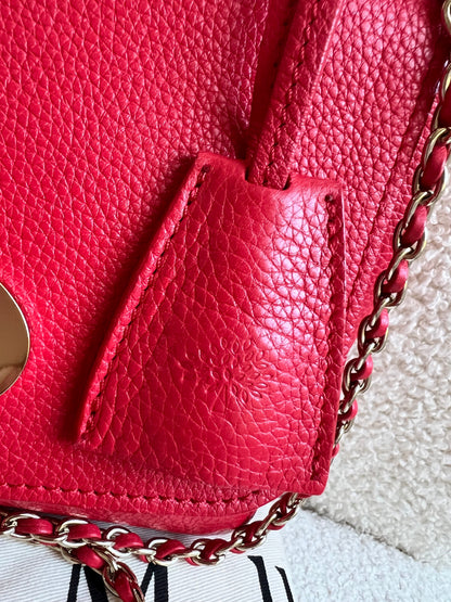Mulberry Hibiscus Red Regular Lily with Gold Hardware (RRP £995)