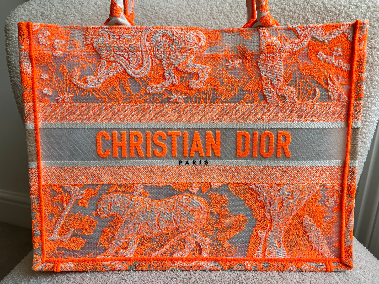 Christian Dior Toule de Jouey Medium Book Tote