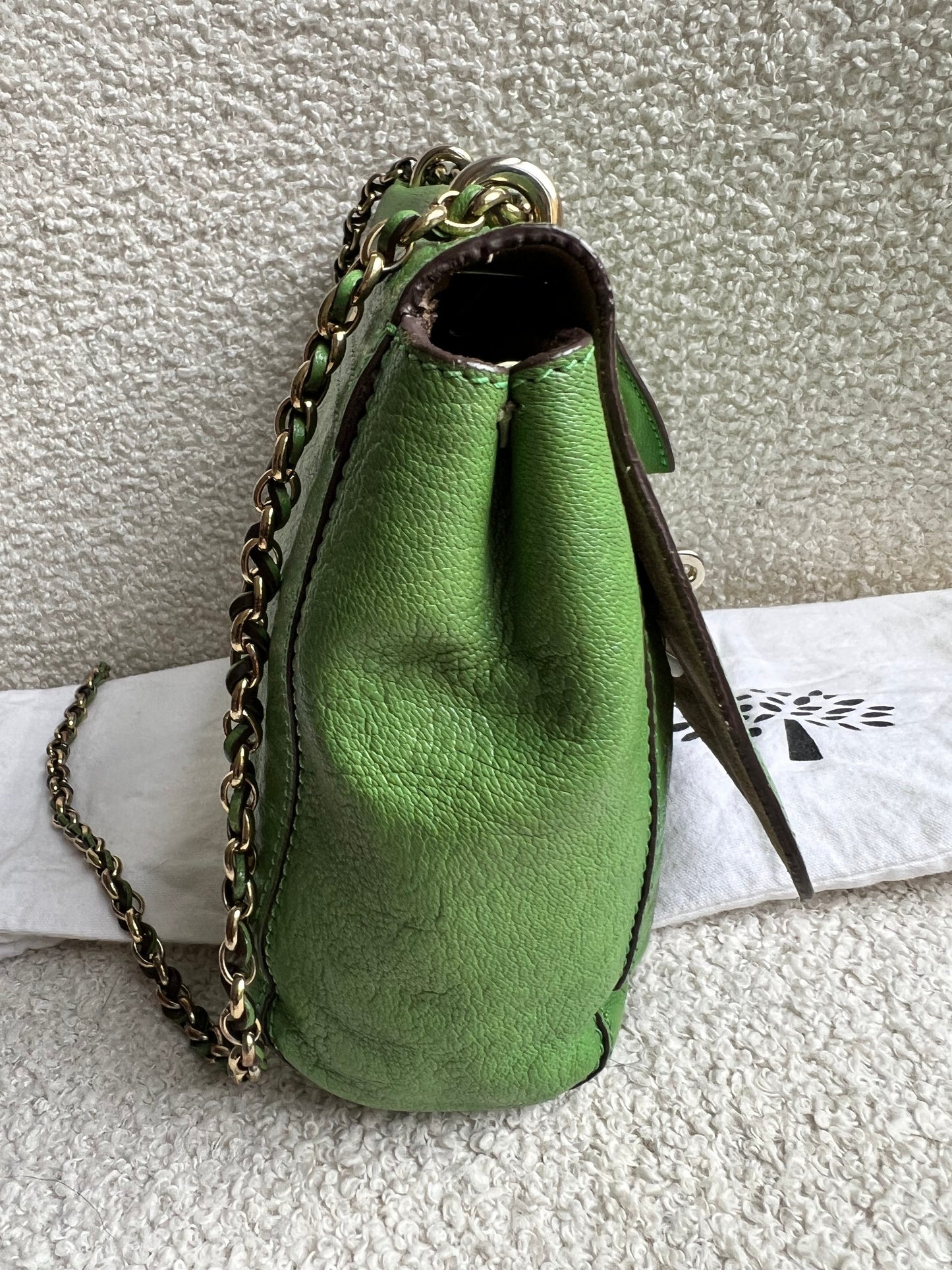 Mulberry Grass Green Regular Lily with Gold Hardware (RRP £895)