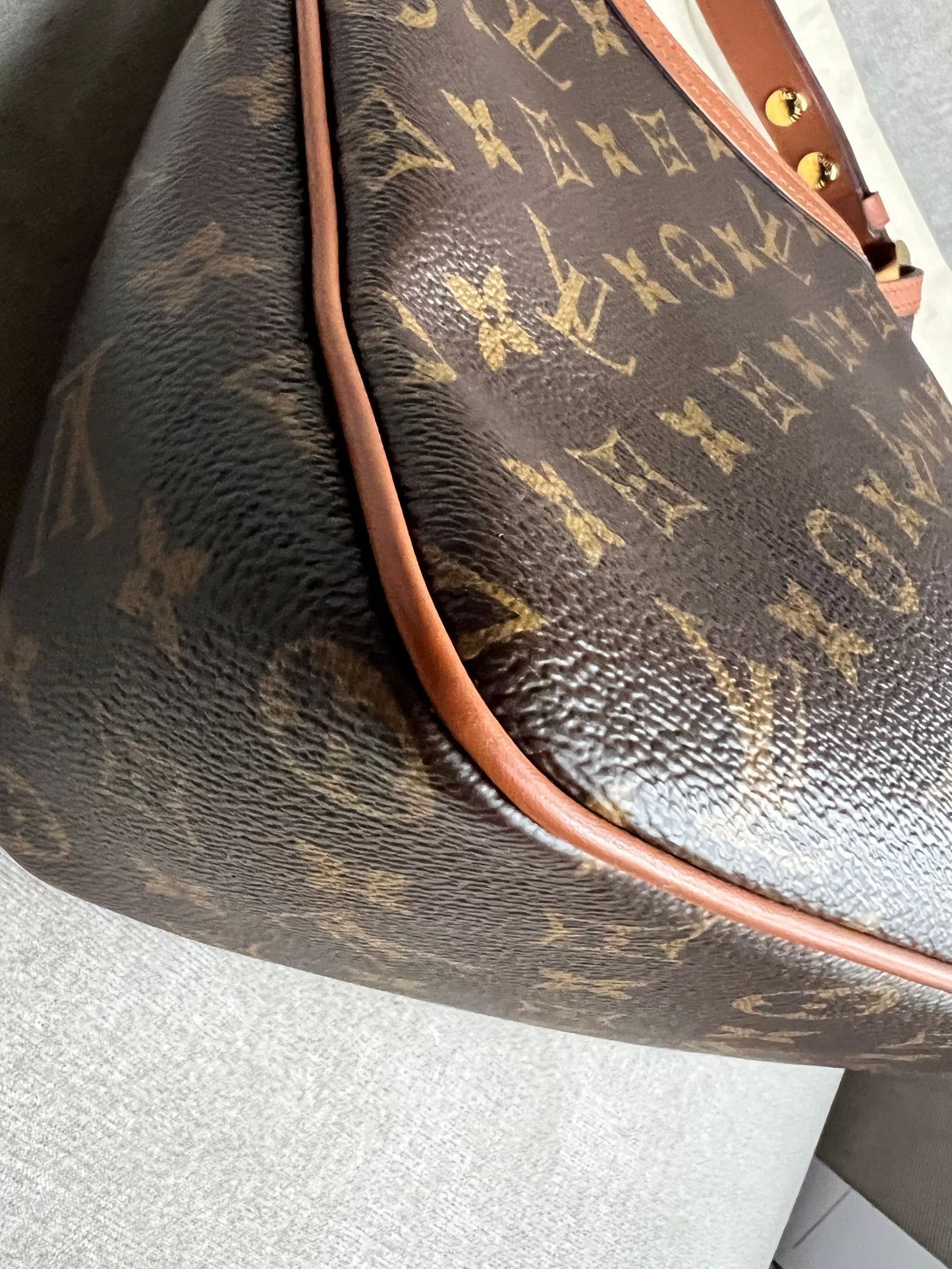 Louis Vuitton Dauphine Hobo PM (RRP £2190)