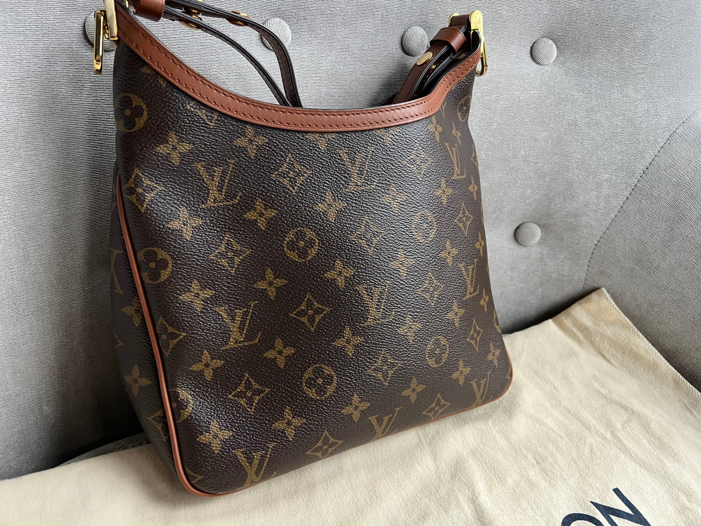 Louis Vuitton Dauphine Hobo PM (RRP £2190)