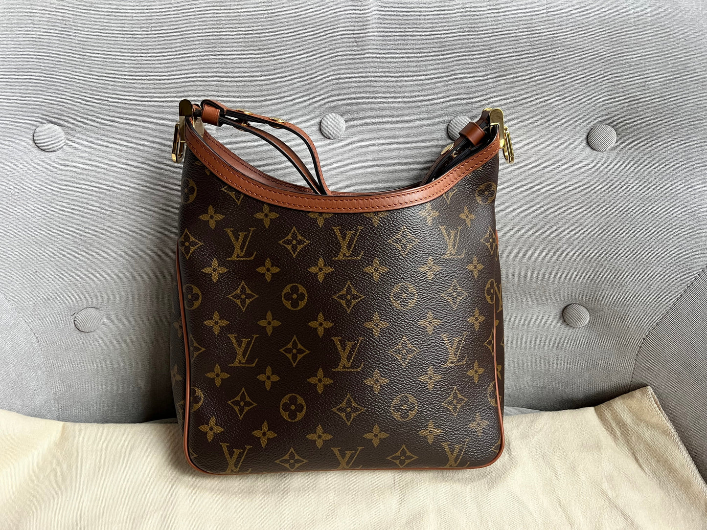 Louis Vuitton Dauphine Hobo PM (RRP £2190)