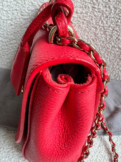 Mulberry Hibiscus Red Regular Lily with Gold Hardware (RRP £995)