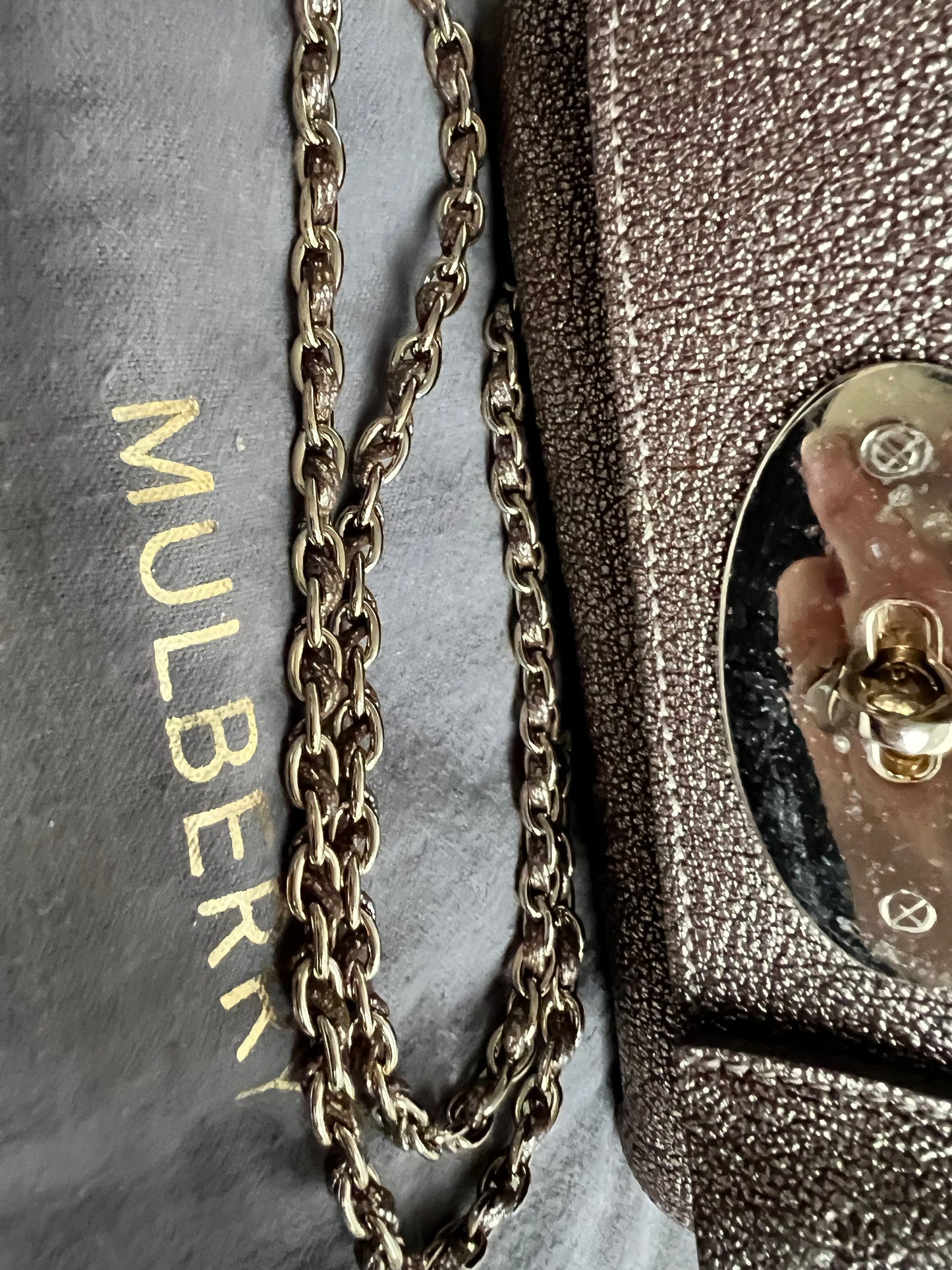 Mulberry Metallic Mushroom Regular Lily with Gold Hardware (RRP £995)