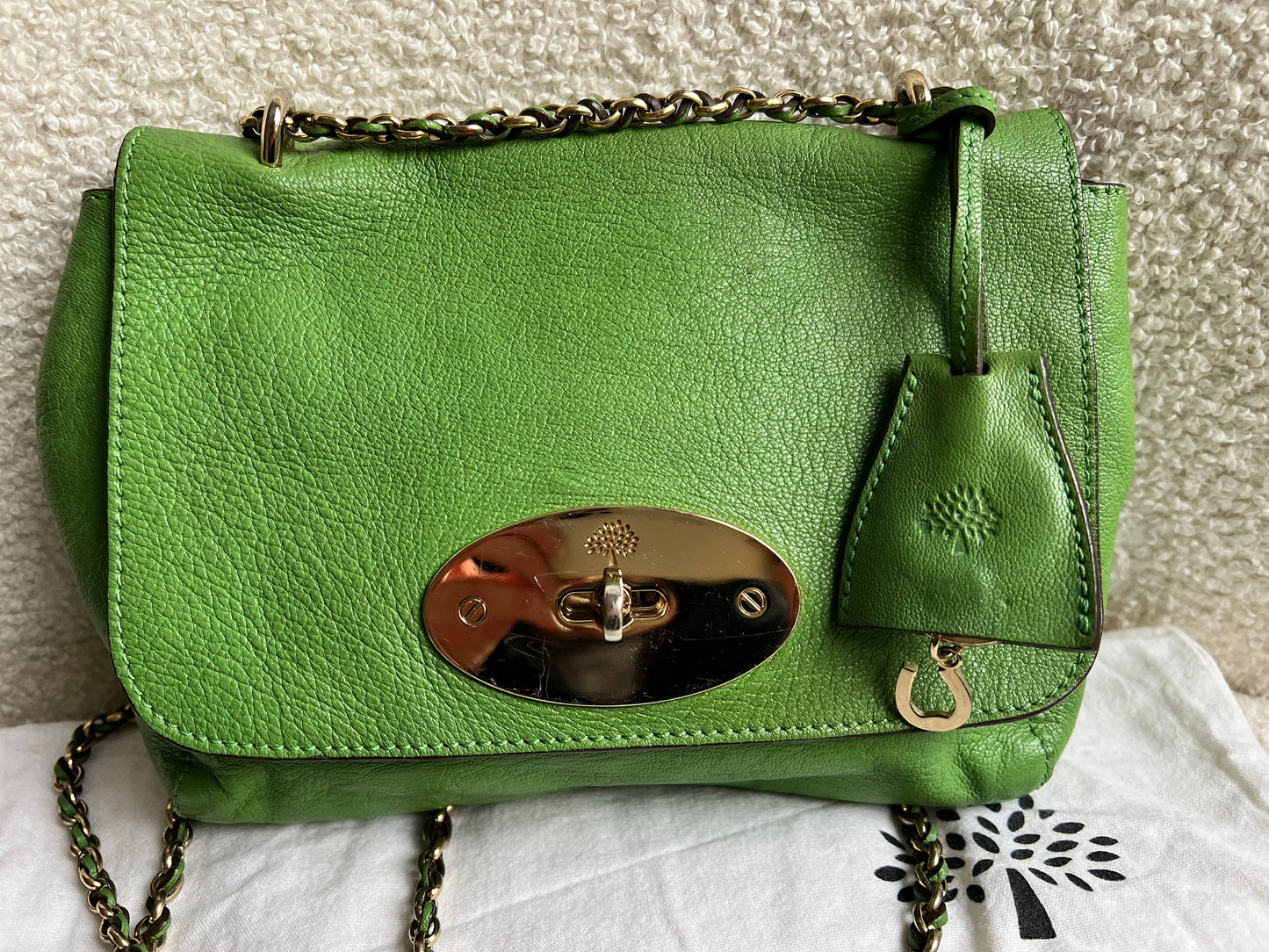 Mulberry Grass Green Regular Lily with Gold Hardware (RRP £895)
