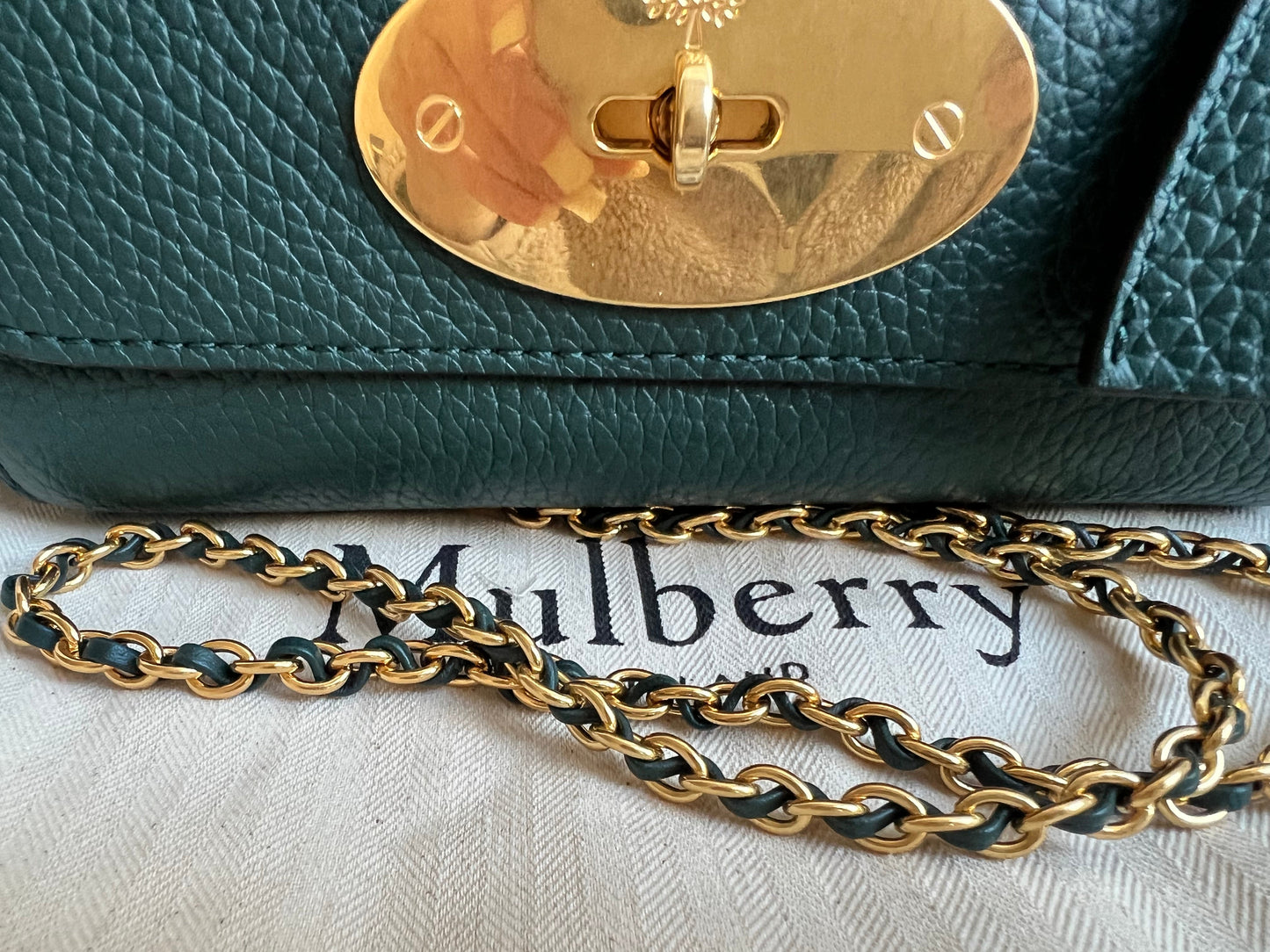 Mulberry Regular Lily in Mulberry Green Heavy Grain (RRP £1095)